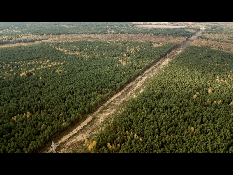 high voltage power lines logging forest top view from drone 1